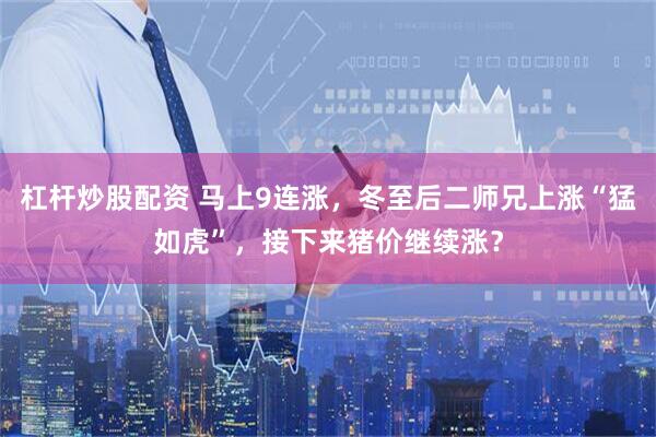 杠杆炒股配资 马上9连涨，冬至后二师兄上涨“猛如虎”，接下来猪价继续涨？